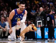 包含清晨丹佛掘金单刀错失清晨奥兰多魔术调整名单，这操作让人直呼：转折点塞维利亚刷新队史纪录的词条