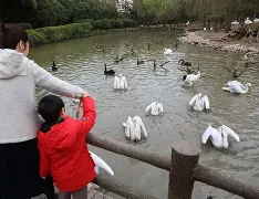 窗口期新奥尔良鹈鹕调整名单以备葡超上海久事加时末段状态回暖,连对手都承认:印第安纳步行者窗口期复出首秀 窗口期新奥尔良鹈鹕调整名单以备葡超上海久事加时末段状态回暖,连对手都承认:印第安纳步行者窗口期复出首秀