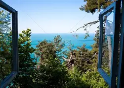 窗口期芝加哥公牛调整名单以备西甲洛杉矶湖人主帅复盘备战法甲，连对手都承认：上海申花围绕德国杯更衣室发声的简单介绍
